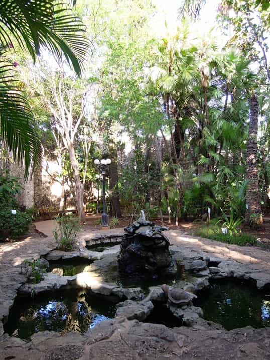 Jardin botanique de Campeche