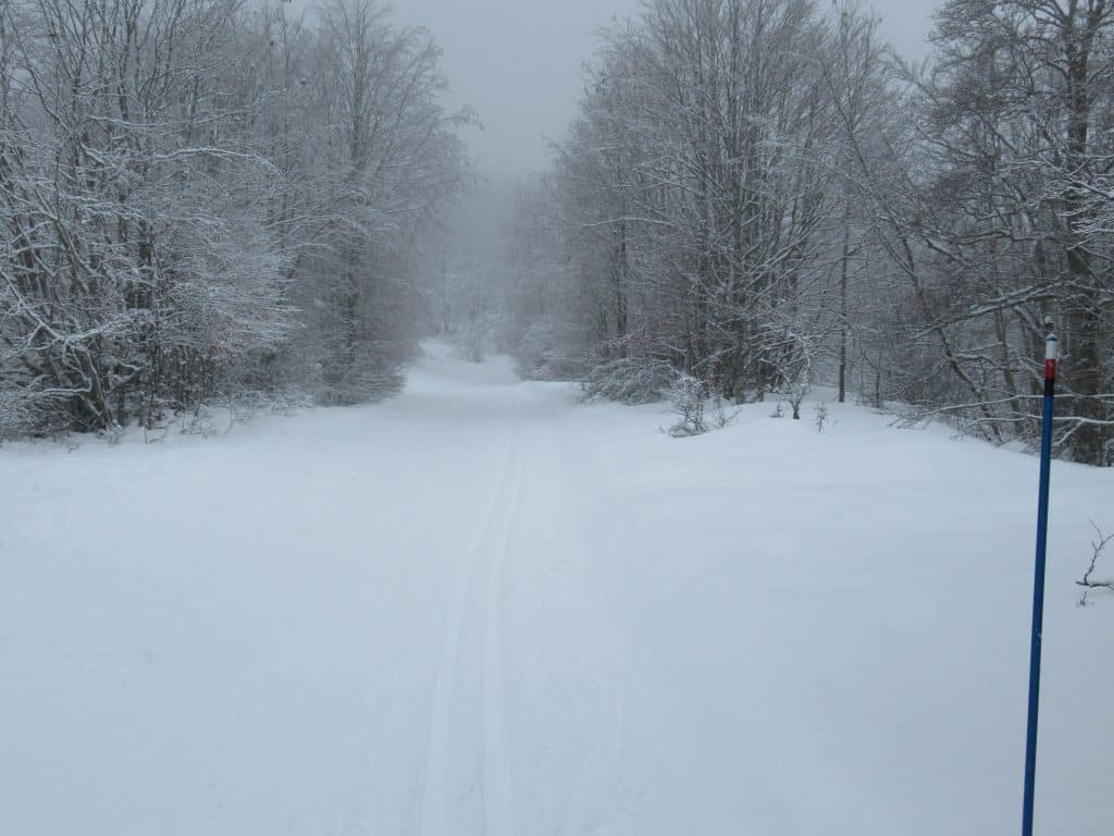 Chemin de l'âne sous la neige à Brénod au Haut Bugey