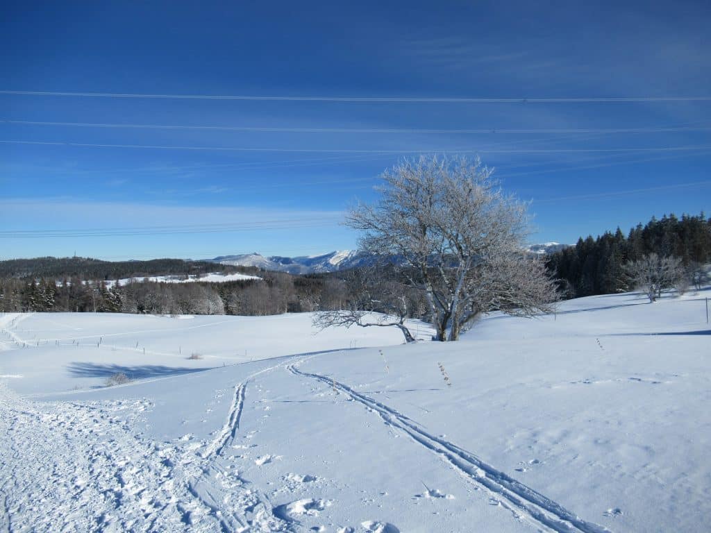 Randonnée neige Cuvéry au Haut Bugey