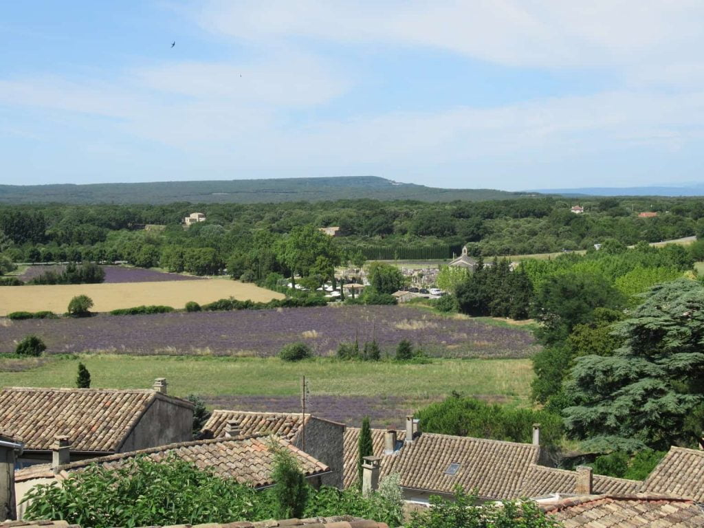 Champs de lavande dans la Drôme Provençale